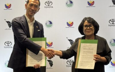 Toyota Foundation and DENR Join Forces for Tamaraw Conservation