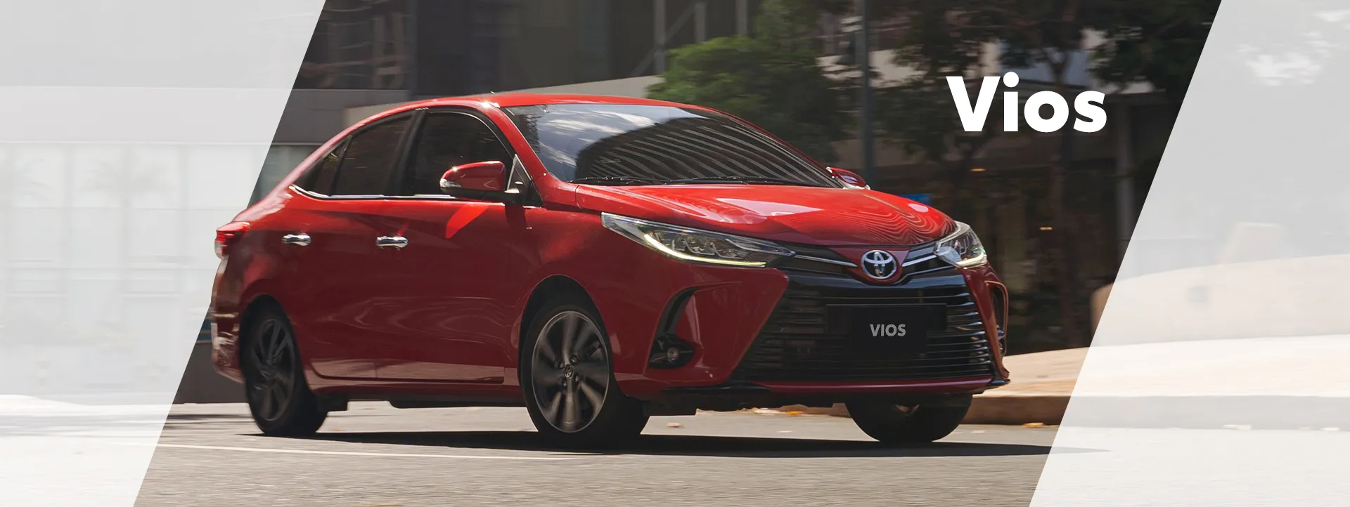 Vios Banner Feb2025